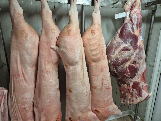 ZABÍJAČKOVÁ SEZÓNA 2025/2026